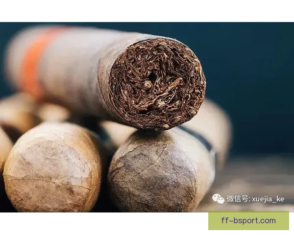 德布劳内在欧协联赛场展现全面个人能力与领袖价值关键时刻决定比赛走向